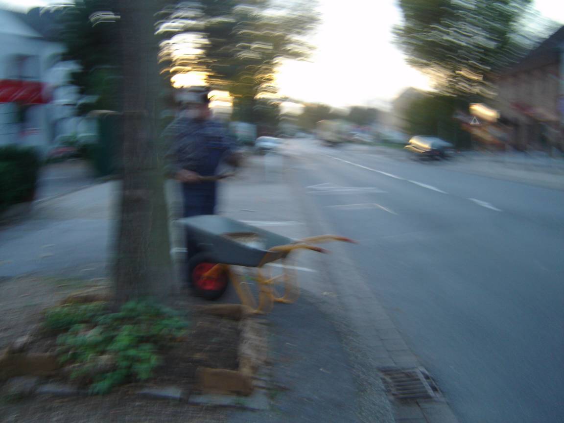 DSC02497.JPG